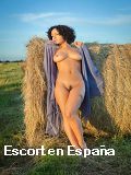 Anuncios de sexo en Alicante-Elche